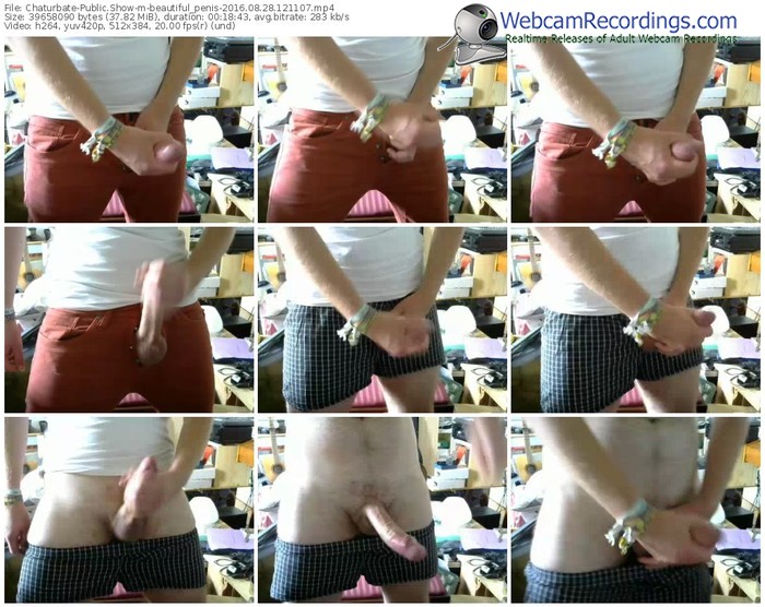 chaturbate-beautiful_penis-webcam-show-08_28_2016-12_11_07