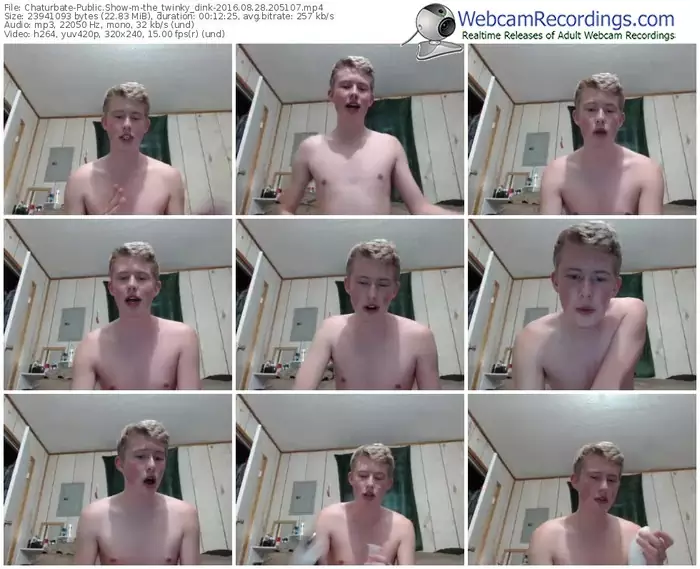 chaturbate-the_twinky_dink-webcam-show-08_28_2016-20_51_07