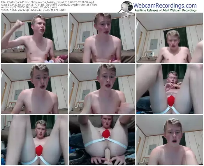 chaturbate-the_twinky_dink-webcam-show-08_28_2016-23_21_08