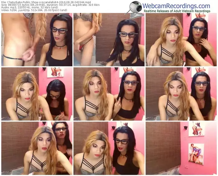 chaturbate-iscanelahot4-webcam-show-08_28_2016-04_33_44