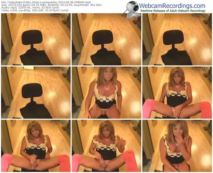 chaturbate-pinkpaisley-webcam-show-08_28_2016-04_48_43