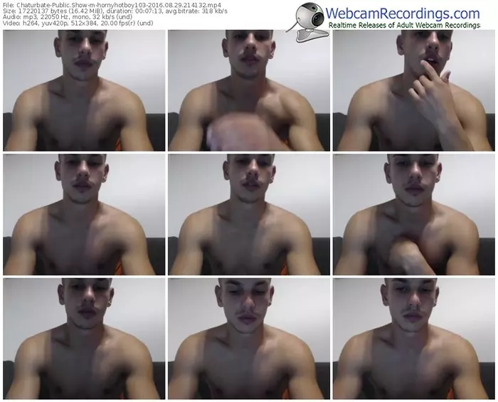 chaturbate-hornyhotboy103-webcam-show-08_29_2016-21_41_32