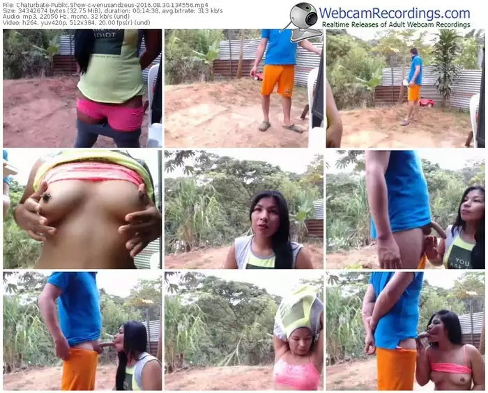 chaturbate-venusandzeus-webcam-show-08_30_2016-13_45_56