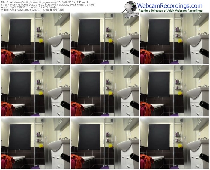 chaturbate-little_mystery-webcam-show-08_30_2016-14_17_41