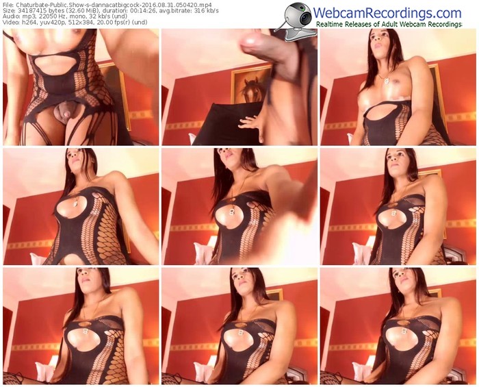 chaturbate-dannacatbigcock-webcam-show-08_31_2016-05_04_20