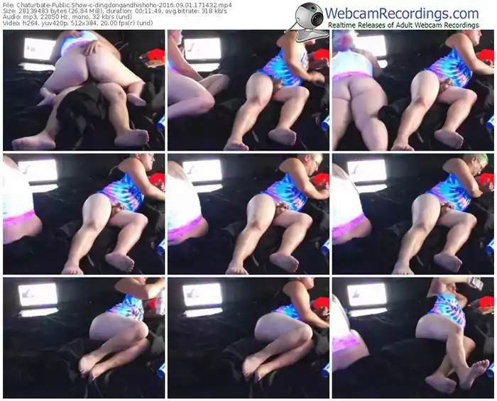 chaturbate-dingdongandhishoho-webcam-show-09_01_2016-17_14_32