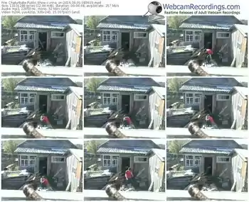 chaturbate-irina_on-webcam-show-09_01_2016-08_39_23