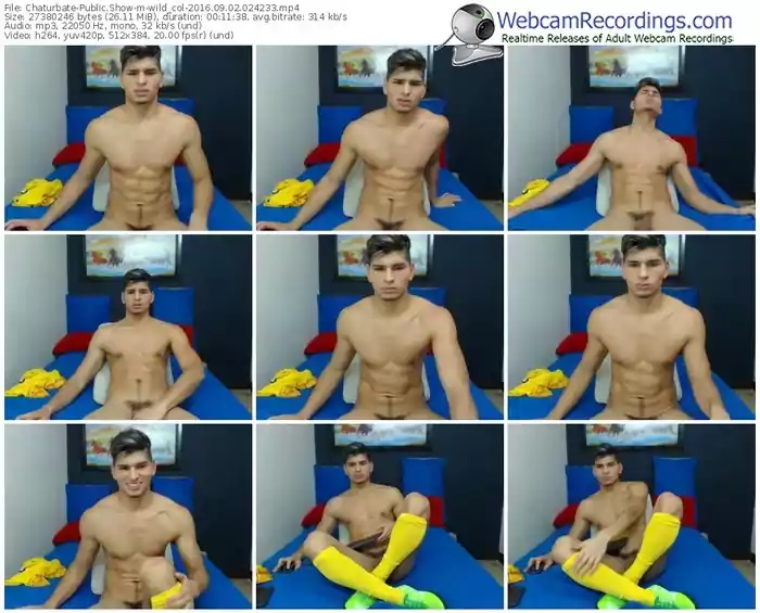 chaturbate-wild_col-webcam-show-09_02_2016-02_42_33