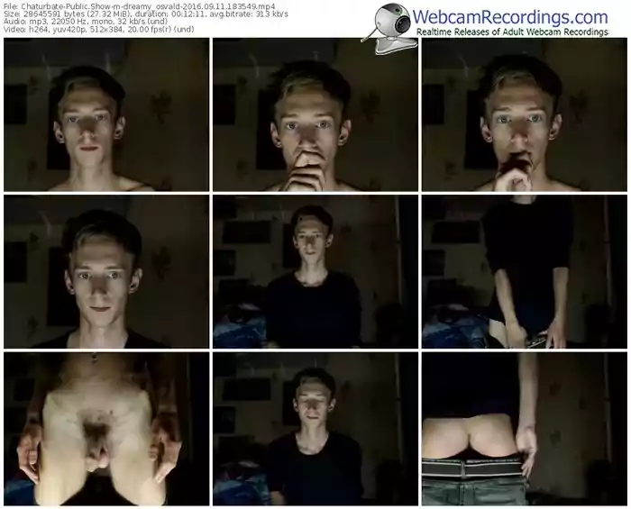 chaturbate-dreamy_osvald-webcam-show-09_11_2016-18_35_49