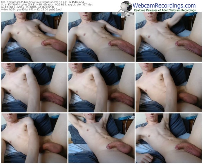 chaturbate-wildguess0-webcam-show-09_11_2016-14_45_46