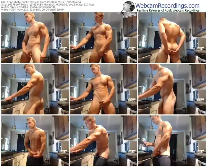 chaturbate-finch93-webcam-show-09_12_2016-19_06_08