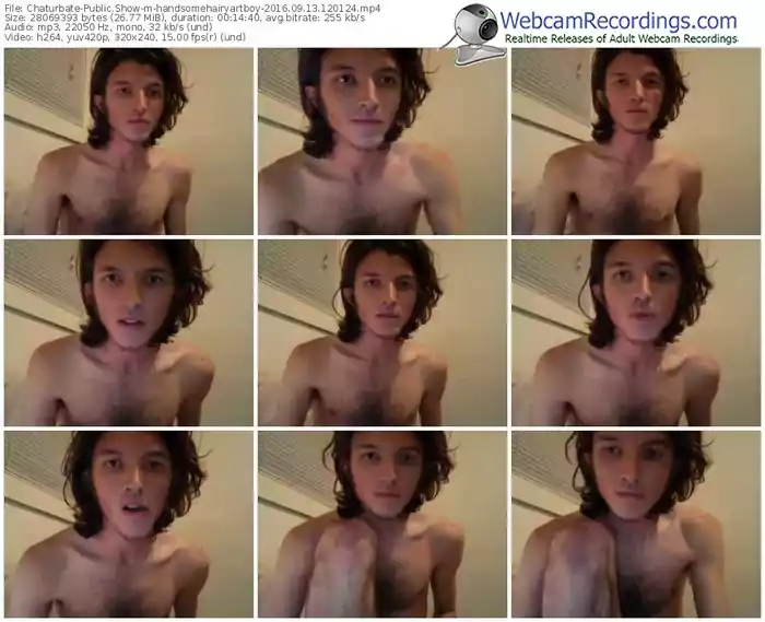 chaturbate-handsomehairyartboy-webcam-show-09_13_2016-12_01_24