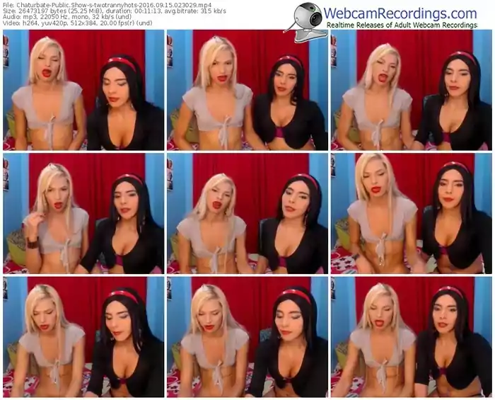 chaturbate-twotrannyhots-webcam-show-09_15_2016-02_30_29