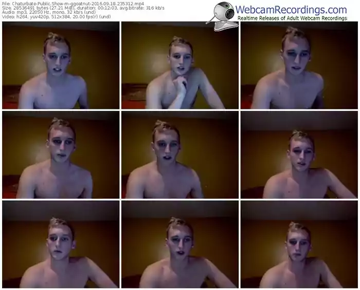 chaturbate-ggoatnut-webcam-show-09_18_2016-23_53_12