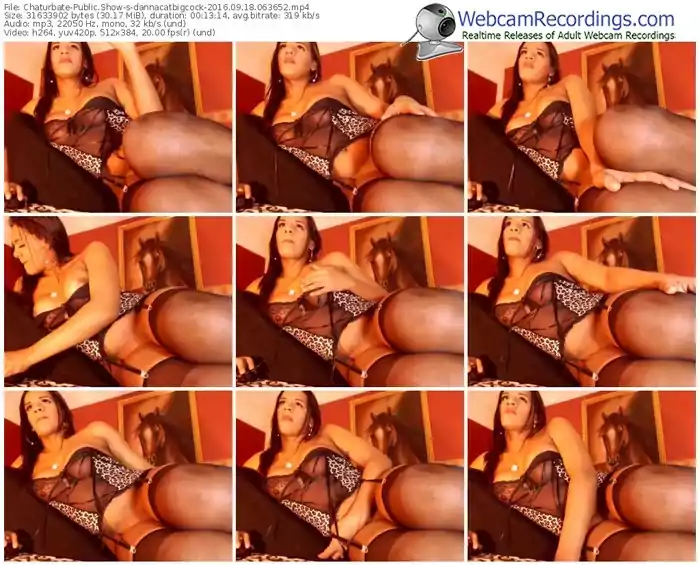 chaturbate-dannacatbigcock-webcam-show-09_18_2016-06_36_52