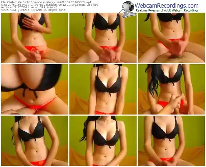 chaturbate-secretary_viki-webcam-show-09_23_2016-07_53_33