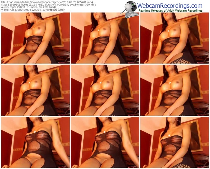 chaturbate-dannacatbigcock-webcam-show-09_23_2016-05_54_01
