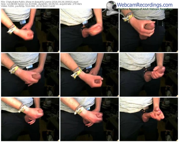 chaturbate-beautiful_penis-webcam-show-09_26_2016-18_00_21
