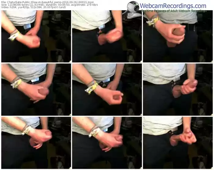 chaturbate-beautiful_penis-webcam-show-09_26_2016-18_00_21