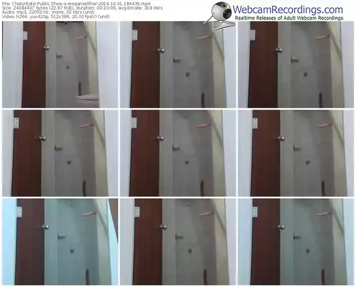 chaturbate-meganselther-webcam-show-10_01_2016-18_44_35