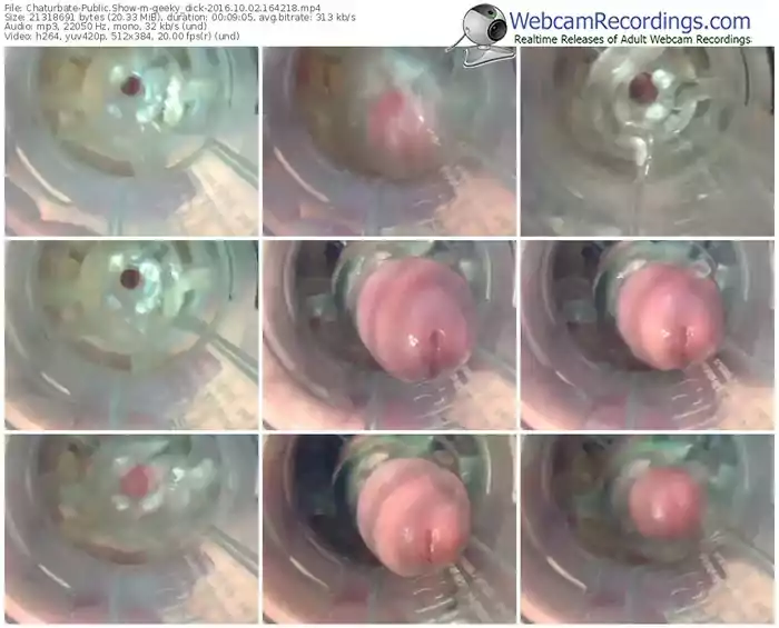 chaturbate-geeky_dick-webcam-show-10_02_2016-16_42_18