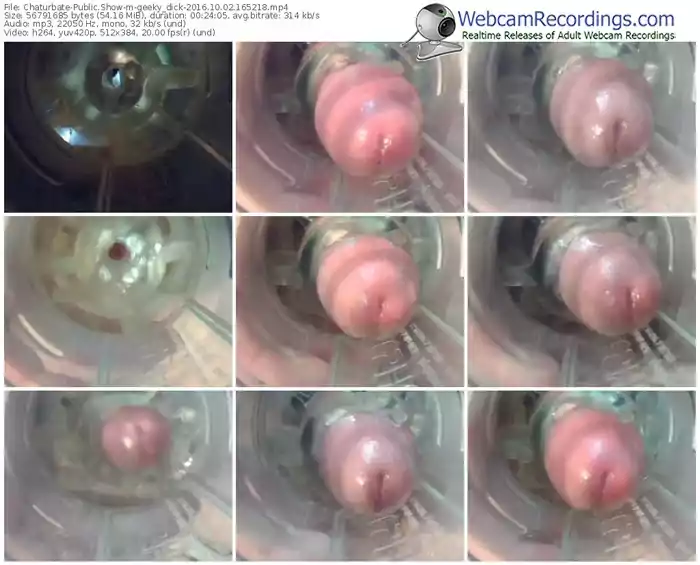 chaturbate-geeky_dick-webcam-show-10_02_2016-16_52_18