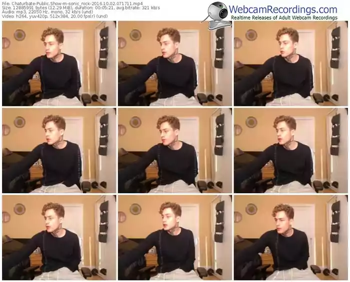 chaturbate-sonic_nick-webcam-show-10_02_2016-07_17_11