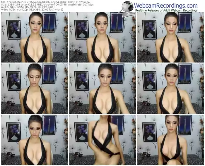 chaturbate-reddishbunny04-webcam-show-10_03_2016-11_10_23