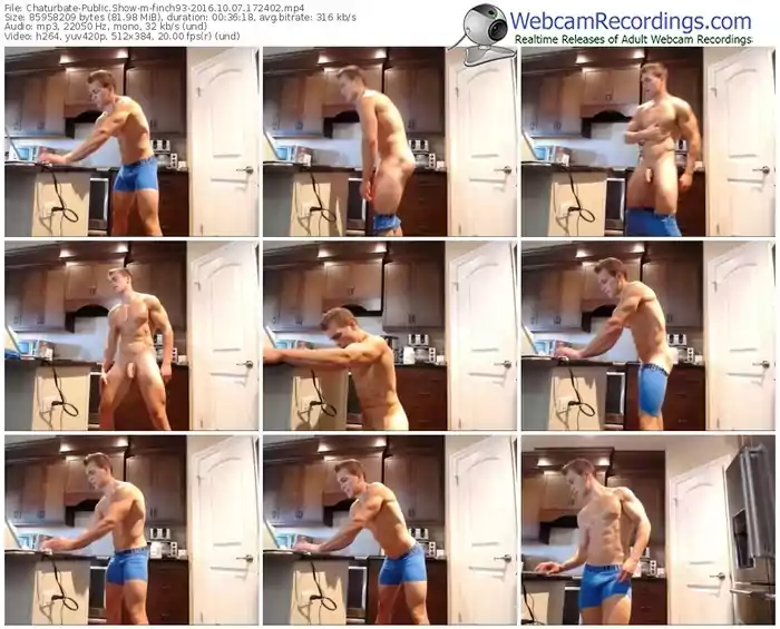 chaturbate-finch93-webcam-show-10_07_2016-17_24_02