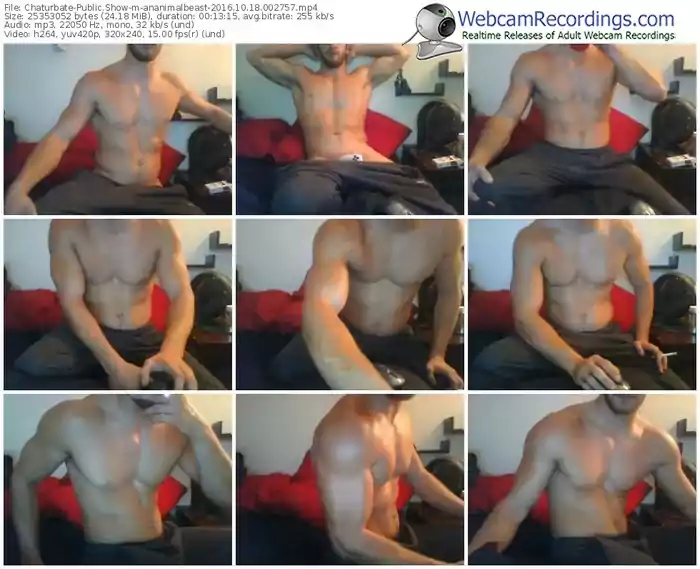 chaturbate-ananimalbeast-webcam-show-10_18_2016-00_27_57