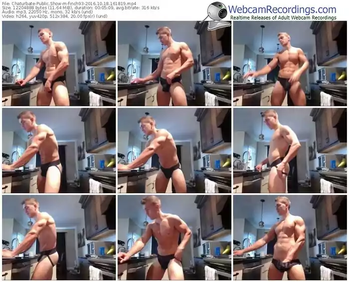 chaturbate-finch93-webcam-show-10_18_2016-16_18_19