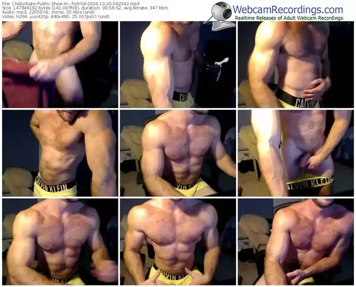 chaturbate-_hotr0d-webcam-show-10_20_2016-04_23_42