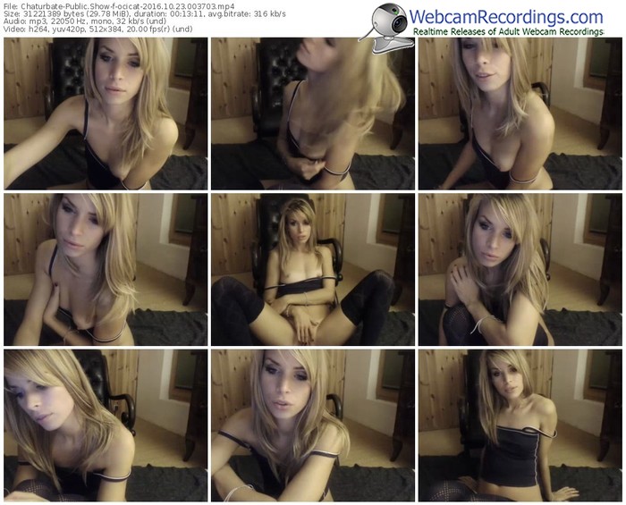 chaturbate-ocicat-webcam-show-10_23_2016-00_37_03