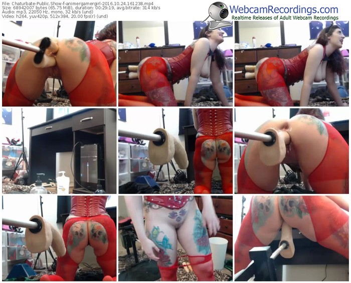 chaturbate-animergamergirl-webcam-show-10_24_2016-16_12_38