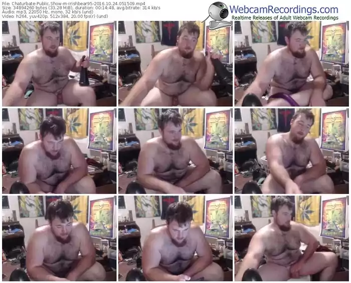 chaturbate-irishbear95-webcam-show-10_24_2016-05_15_09