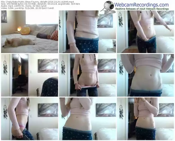 chaturbate-sunny_delight-webcam-show-10_25_2016-16_29_45