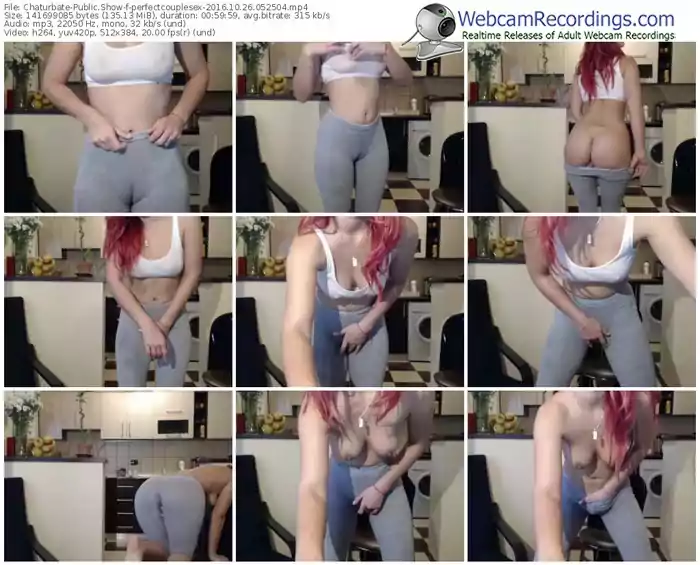 chaturbate-perfectcouplesex-webcam-show-10_26_2016-05_25_04