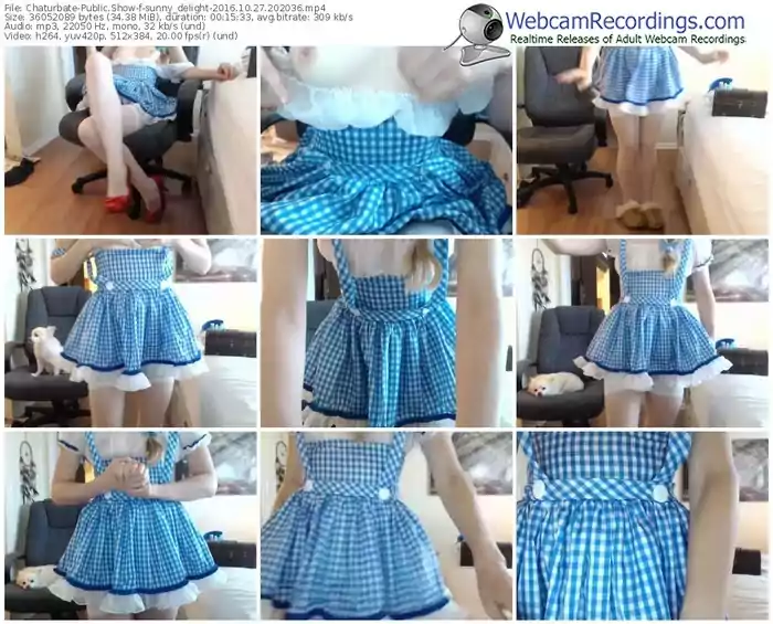 chaturbate-sunny_delight-webcam-show-10_27_2016-20_20_36