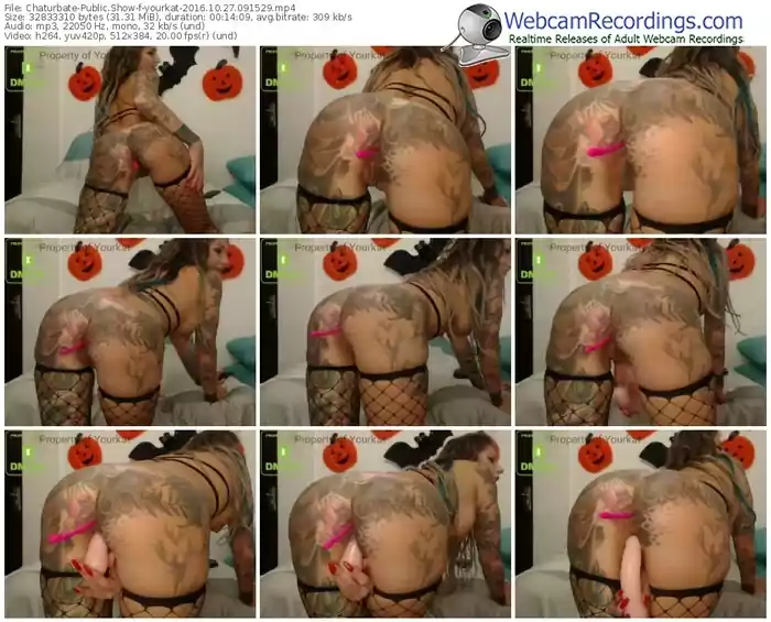 chaturbate-yourkat-webcam-show-10_27_2016-09_15_29