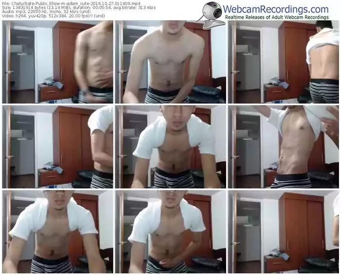 chaturbate-adam_cute-webcam-show-10_27_2016-01_16_09