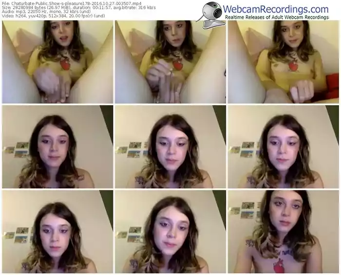 chaturbate-pleasure178-webcam-show-10_27_2016-00_35_07