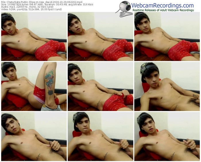 chaturbate-new_david-webcam-show-10_29_2016-06_22_02