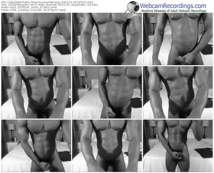 chaturbate-novemberguyy-webcam-show-10_29_2016-19_32_13