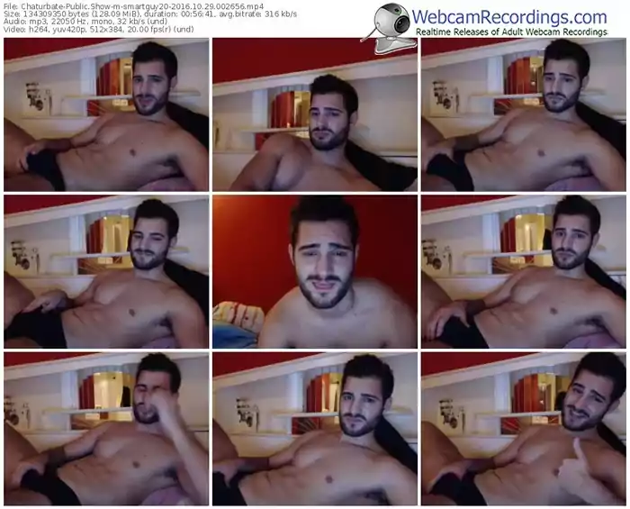 chaturbate-smartguy20-webcam-show-10_29_2016-00_26_56