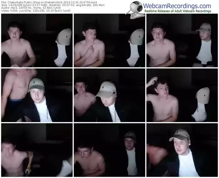 chaturbate-thehamildick-webcam-show-10_31_2016-01_47_39