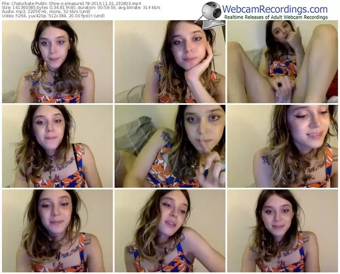 chaturbate-pleasure178-webcam-show-11_01_2016-23_28_03