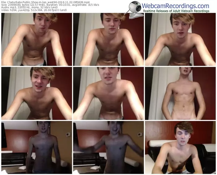 chaturbate-leo_west96-webcam-show-11_02_2016-08_58_28