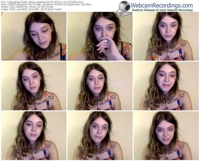 chaturbate-pleasure178-webcam-show-11_02_2016-01_28_03