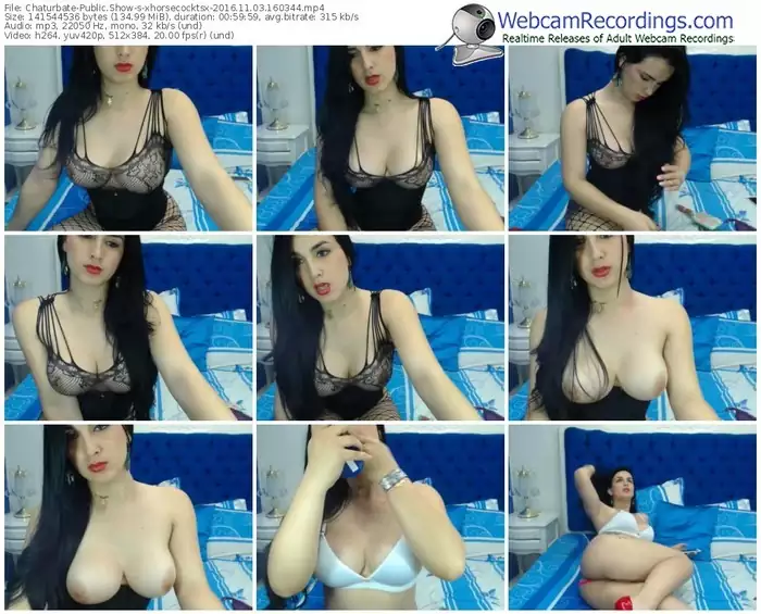 chaturbate-xhorsecocktsx-webcam-show-11_03_2016-16_03_44