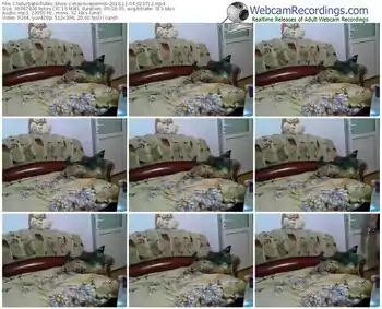 chaturbate-massiveporn69-webcam-show-11_04_2016-02_37_12